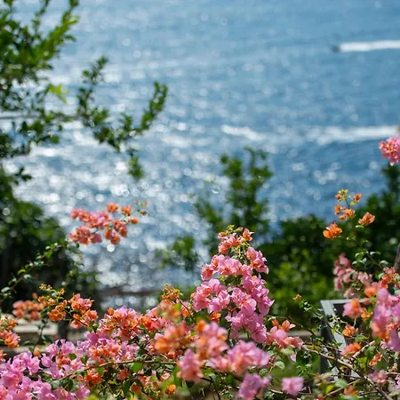 Casa Fiorellina Lejlighed *